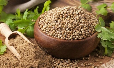 Tane Baharat